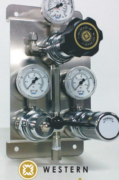 Western 3000 Series Manifold